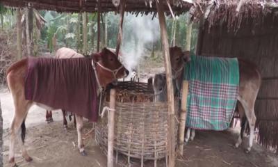 শীতে কাঁপছে  উত্তরের জনপদ