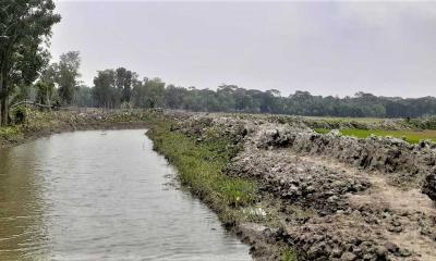 মির্জাগঞ্জে খাল খননে হাসি ফুটেছে চাষীদের মুখে 