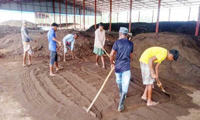 নীলফামারীতে বাণিজ্যিকভাবে তৈরি হচ্ছে জৈব সার