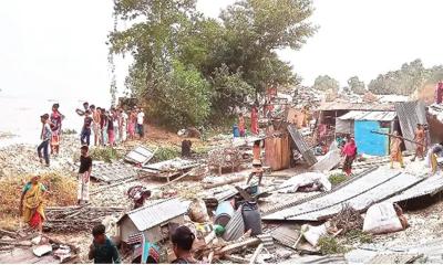 যমুনার তীব্র ভাঙন, শাহজাদপুরে অর্ধশত বাড়িঘর বিলীন