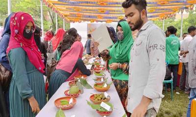 কিশোরগঞ্জে গুরুদয়াল সরকারী কলেজে বাহারি ফল উৎসব