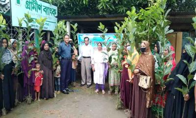 নান্দাইলে গ্রামীণ ব্যাংকের উদ্যোগে সদস্যদের মাঝে গাছের চারা বিতরণ