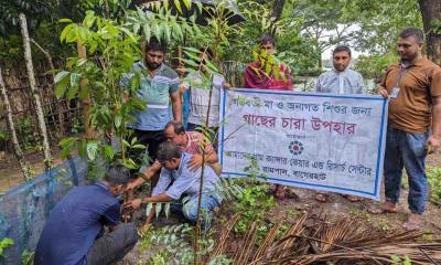 গর্ভবতী মায়েদের আমাদের গ্রামের পক্ষ থেকে গাছের চারা বিতরণ