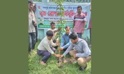 মেহেরপুরে গণপূর্ত বিভাগের বৃক্ষরোপণ কর্মসূচি অনুষ্ঠিত