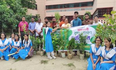 বৃক্ষরোপণ কর্মসূচি পালন করল দ্যা স্কলারস ফোরাম