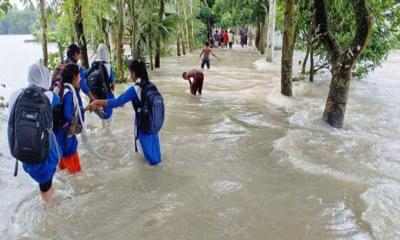 টানা বৃষ্টিতে নোয়াখালীতে ভয়াবহ বন্যা