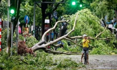 সুপার টাইফুনের আঘাতে ভিয়েতনামে প্রাণহানি বেড়ে ১৭৯