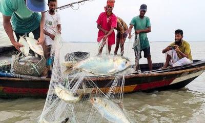 পদ্মা-মেঘনায় আজ থেকে ইলিশসহ সব ধরনের মাছ ধরা নিষিদ্ধ