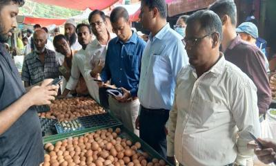 টাঙ্গাইলে পাইকারি ও খুচরা বাজারে বিশেষ টাস্কফোর্স অভিযান