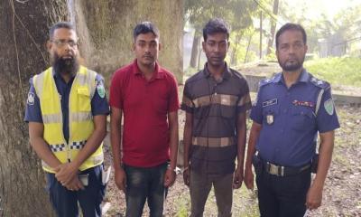 মাধবপুরে পিকআপ ভর্তি গাঁজা, গ্রেপ্তার ২