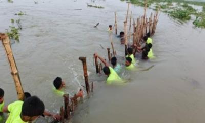 চলন বিলের তাড়াশে চায়না দুয়ারী জাল জব্দ