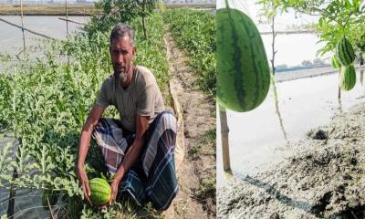 অসময়ে তরমুজ চাষে স্বাবলম্বী গোলাম রব্বানী