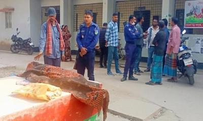 সরিষাবাড়ীতে একজনকে কুপিয়ে হত‍্যা, আহত-২