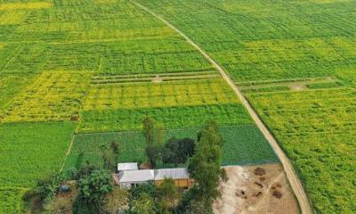 জলবায়ু পরিবর্তন মোকাবিলায় অভিযোজন: ক্ষতি রক্ষার হাতিয়ার