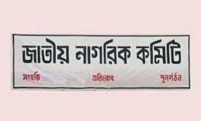 প্রবাসীদের জন্য ‘ডায়াস্পোরা সেল’ গঠন করল নাগরিক কমিটি