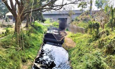 টেক্সটাইলের রাসায়নিক শিল্পবর্জ্যে দূষিত হচ্ছে টাঙ্গাইলের নদী-খাল