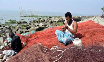 পদ্মা-মেঘনায় ২মাস মাছ ধরা নিষিদ্ধ