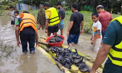 বানভাসিদের পাশে দাঁড়িয়েছে কুড়িগ্রামবাসী