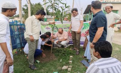 কিশোরগঞ্জে বিশ্ব পরিবেশ দিবস উপলক্ষ্যে বৃক্ষরোপণ কর্মসূচি পালিত