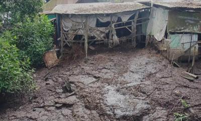 বিদ্যালয়ের পাশে গরুর খামার, ব্যাহত হচ্ছে পাঠদান