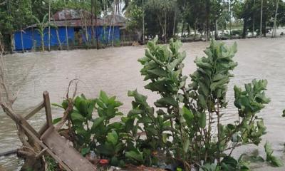 ঘূর্ণিঝড় রেমাল: চরফ্যাশনে ৫ হাজার বাড়িঘর বিধ্বস্ত