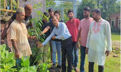 কোম্পানীগঞ্জে নাগরিক উন্নয়ন ফাউন্ডেশনের বৃক্ষরোপণ