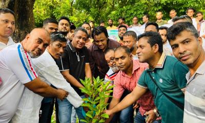 আ. লীগের প্রতিষ্ঠাবার্ষিকীতে হেলাল আকবর বাবরের বৃক্ষরোপণ