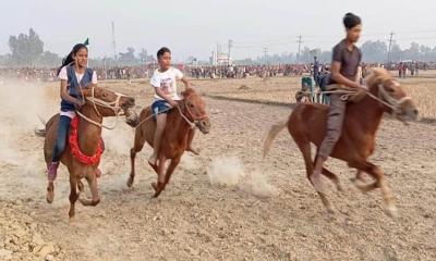 ধামইরহাটে ঐতিহ্যবাহী ঘোড় দৌড় প্রতিযোগিতা অনুষ্ঠিত