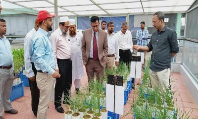 বার্ষিক গবেষণা পর্যালোচনা ও কর্মসূচি প্রণয়ন কর্মশালার উদ্বোধন