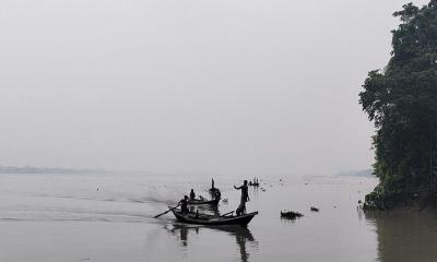 পায়রা নদীতে মা ইলিশ শিকারের মহোৎসব