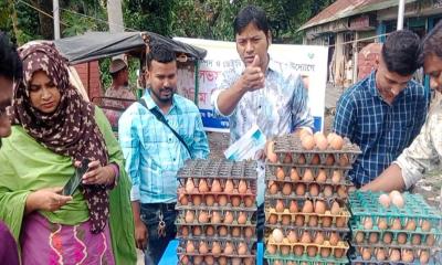 আড়াইহাজারে প্রাণিসম্পদ অফিসের আয়োজনে ডিম বিক্রি শুরু