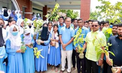 ফেনীতে ৫০ হাজার বৃক্ষরোপণের মহোৎসব