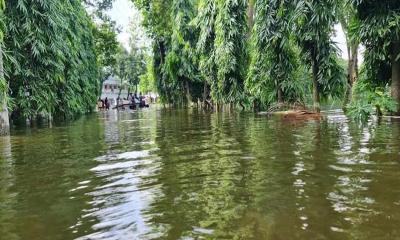 উন্নতির দিকে ফেনীর বন্যা পরিস্থিতি