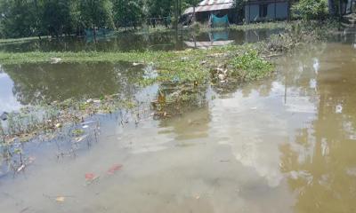 ফেনীর ৩ উপজেলায় বাড়িঘরে পানি: ২০ হাজার মানুষ আশ্রয়কেন্দ্রে