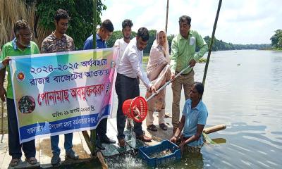 শ্রীপুরে উন্মুক্ত জলাশয়ে মাছের পোনা অবমুক্তকরণ