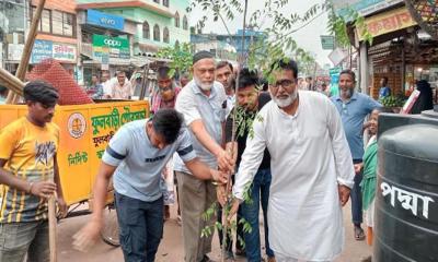 ফুলবাড়ীতে নিমতলা মোড়ের ঐতিহ্য ধরে রাখতে নিমগাছ রোপণ