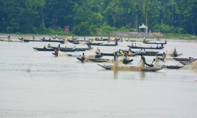 নাব্যতা হারাচ্ছে হালদা নদী