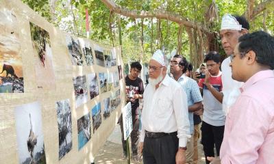 ইবিতে বিশ্ব পরিবেশ দিবস পালিত