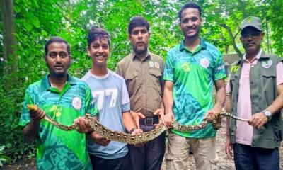 আবাসিক এলাকা থেকে ৬ ফুট লম্বা অজগর উদ্ধার, বনে অবমুক্ত