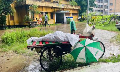 জাজিরায় বালুর স্তূপ থেকে অর্ধগলিত লাশ উদ্ধার