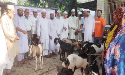 জামায়াতের উদ্যোগে ভ্যান-ছাগল ও নগদ অর্থ বিতরণ