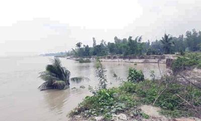 টাঙ্গাইলে যমুনার অরক্ষিত ১৬শ মিটারে তীব্র ভাঙন