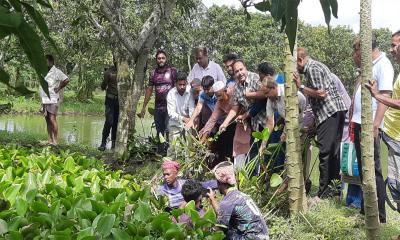 কলারোয়ায় দীর্ঘ ২৪ বছরের জলাবদ্ধতা নিরসনের উদ্যোগ