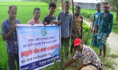 যশোরের পল্লীতে এক হাজার খেজুরের চারা রোপণ