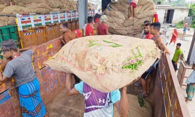 ১০ মাস পর বেনাপোল বন্দর দিয়ে কাঁচামরিচ আমদানি শুরু