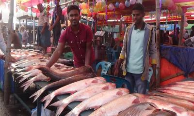 কালাইয়ে জমে উঠেছে মাছের মেলা