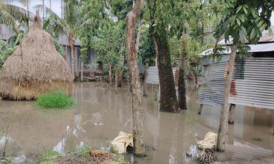 কিশোরগঞ্জে পানিবন্দি অর্ধশতাধিক পরিবার