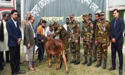 কুড়িগ্রামে সেনাবাহিনীর উদ্যোগে প্রাণি চিকিৎসাসেবা প্রদান