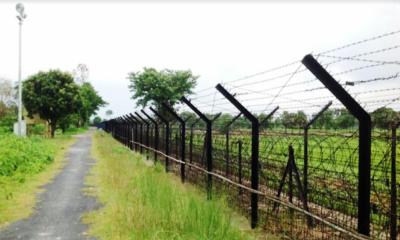 কুষ্টিয়ায় ৫ বাংলাদেশিকে আটক করেছে বিএসএফ