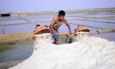 দাম কম, মৌসুমের শুরুতে হতাশ লবণ চাষিরা